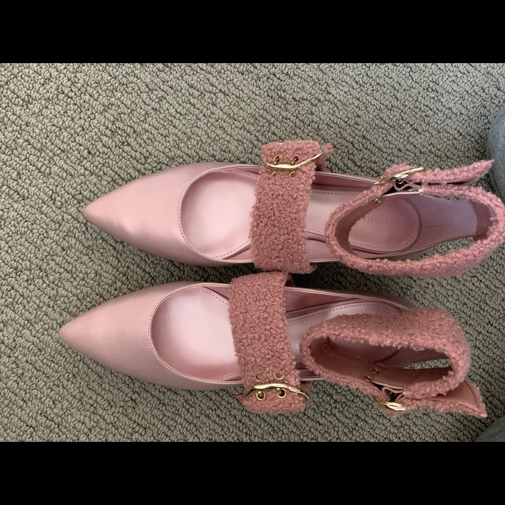 Brand New Charles & Keith shoes, size 8